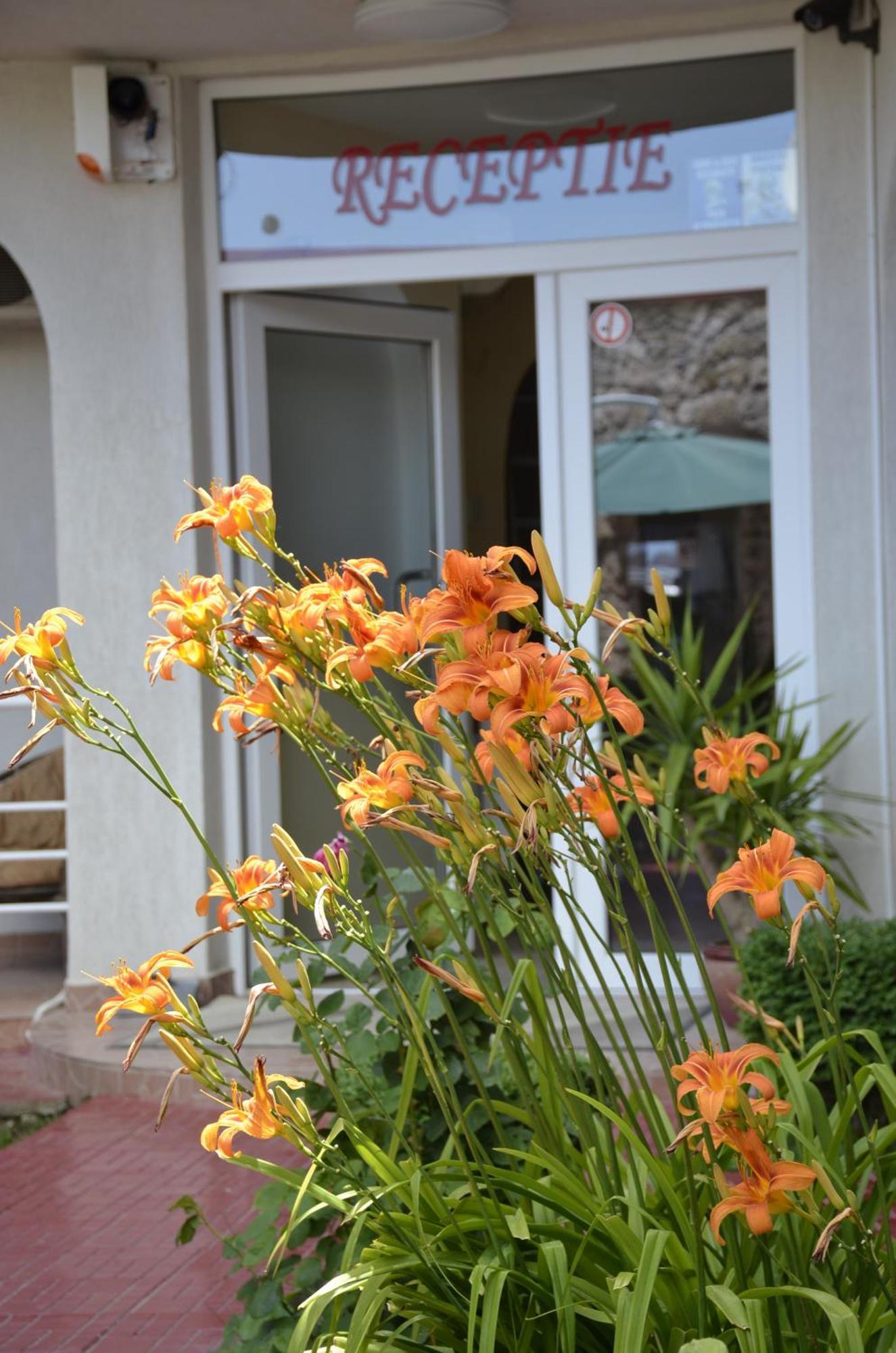Julia Hotel